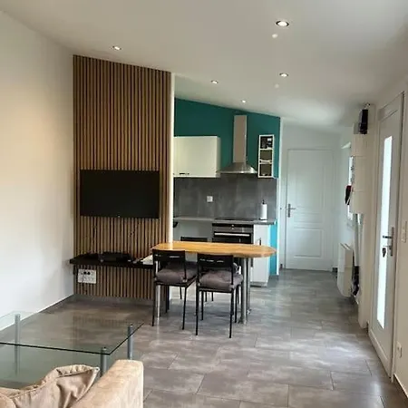 Maison Proche Du Groupama Stadium Apartment
