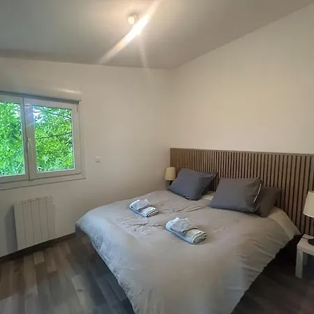 Apartment Maison Proche Du Groupama Stadium