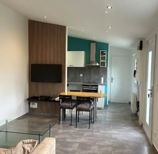 Maison Proche Du Groupama Stadium アパート
