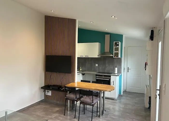 Maison Proche Du Groupama Stadium * デシーヌ・シャルピュー